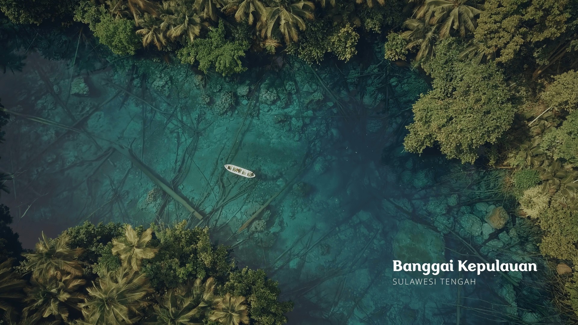 Banggai Kepulauan